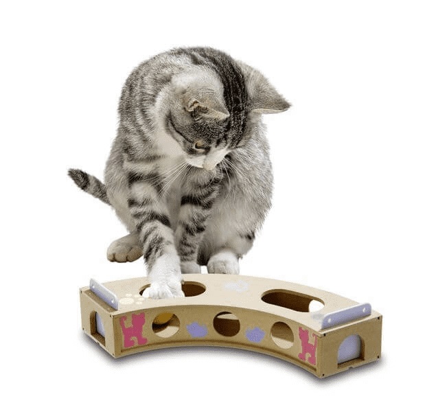 Smart Cat Chourbe Jeux D Activite Pour Chat Laboutiquedelaloutre