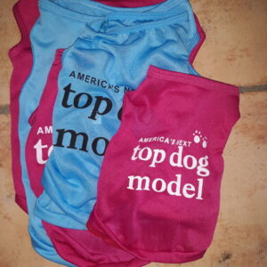 Lot de T-shirts fins pour chiens