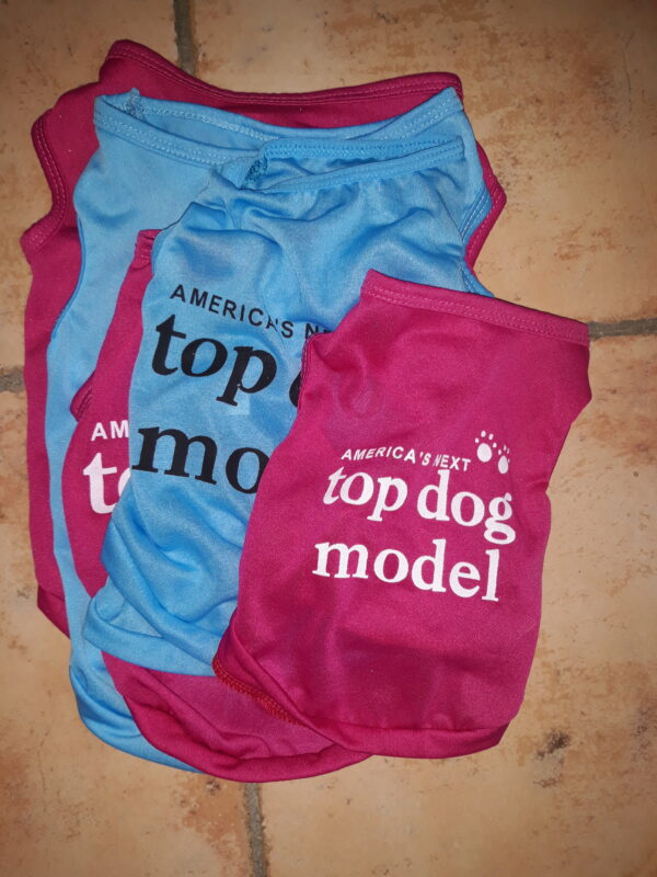 Lot de T-shirts fins pour chiens