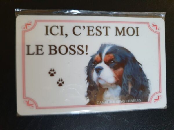 Plaque de garde en alu races de chiens cavalier king charles