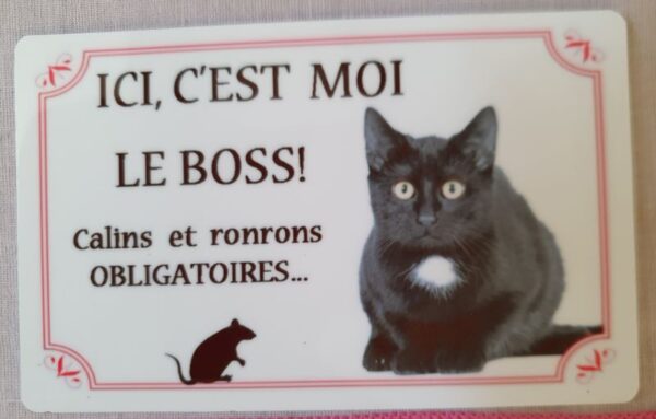 plaque à accrocher en alu chat