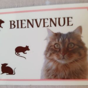 plaque à accrocher en alu chat