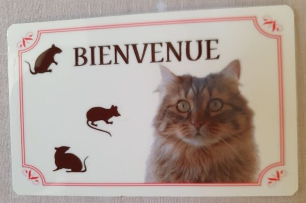 plaque à accrocher en alu chat